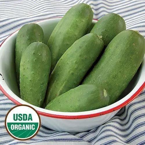 Seed Savers Exchange Cucumber, Double Yield (Organic) Seed Savers Exchange