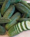Seed Savers Exchange Cucumber, Snow's Fancy Pickling Seed Savers Exchange
