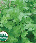 Seed Savers Exchange Herb, Cilantro (Organic) Seed Savers Exchange