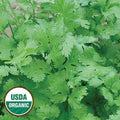 Seed Savers Exchange Herb, Cilantro (Organic) Seed Savers Exchange
