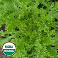 Seed Savers Exchange Lettuce, Tango (Organic) Seed Savers Exchange