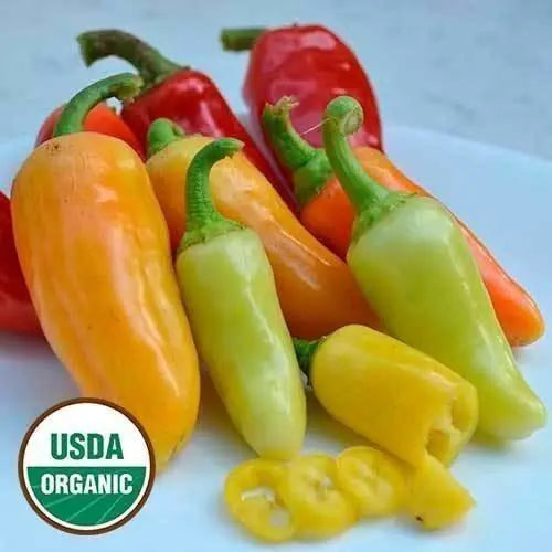 Seed Savers Exchange Pepper, Wenk's Yellow Hots (Organic) Seed Savers Exchange