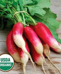 Seed Savers Exchange Radish, French Breakfast (Organic) Seed Savers Exchange