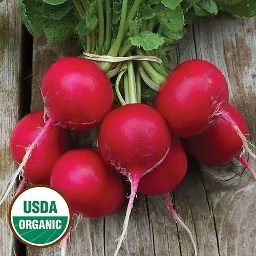 Seed Savers Exchange Radish, Holmes Royal Red (Organic) Seed Savers Exchange