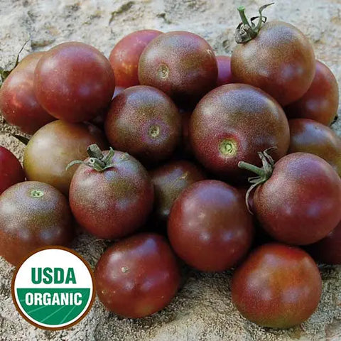 Seed Savers Exchange Tomato, Black Cherry (Organic) Seed Savers Exchange