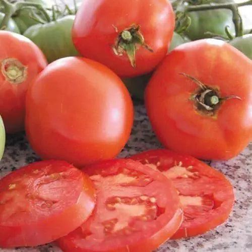 Seed Savers Exchange Tomato, Brandywine (Organic) Seed Savers Exchange