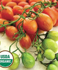 Seed Savers Exchange Tomato, Cherry Roma (Organic) Seed Savers Exchange