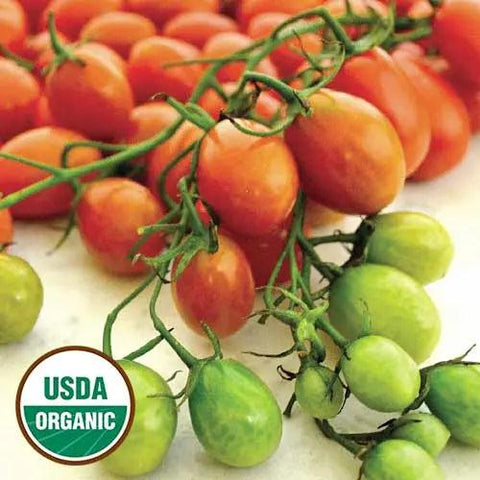 Seed Savers Exchange Tomato, Cherry Roma (Organic) Seed Savers Exchange