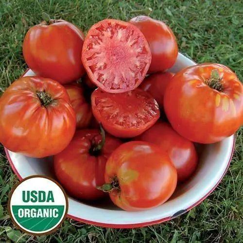 Seed Savers Exchange Tomato, Italian Heirloom (Organic) Seed Savers Exchange