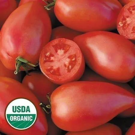 Seed Savers Exchange Tomato, Sheboygan (Organic) Seed Savers Exchange