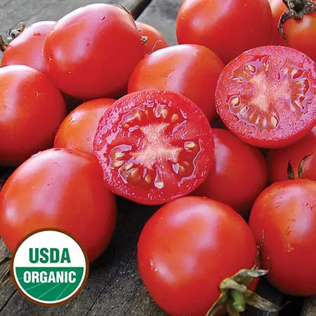 Seed Savers Exchange Tomato, Siberian (Organic) Seed Savers Exchange