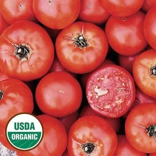 Seed Savers Exchange Tomato, Wisconsin 55 (Organic) Seed Savers Exchange