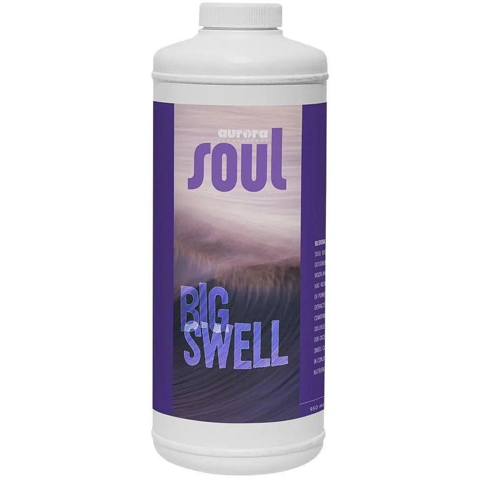 Soul Big Swell, qt Soul Synthetics