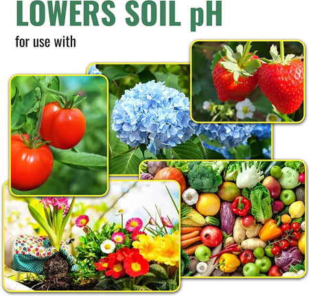 Sulfur Prills, Fertilize, Adjust Soil PH or Fungal Vaporizing, OMRI Certified, 4lb Grow1