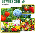 Sulfur Prills, Fertilize, Adjust Soil PH or Fungal Vaporizing, OMRI Certified, 4lb Grow1