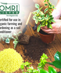 Sulfur Prills, Fertilize, Adjust Soil PH or Fungal Vaporizing, OMRI Certified, 4lb Grow1