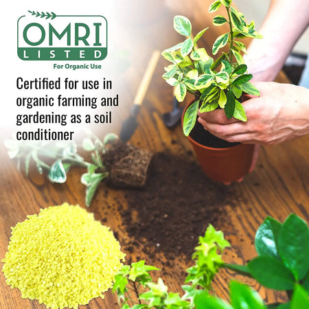 Sulfur Prills, Fertilize, Adjust Soil PH or Fungal Vaporizing, OMRI Certified, 4lb Grow1