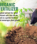 Sulfur Prills, Fertilize, Adjust Soil PH or Fungal Vaporizing, OMRI Certified, 4lb Grow1