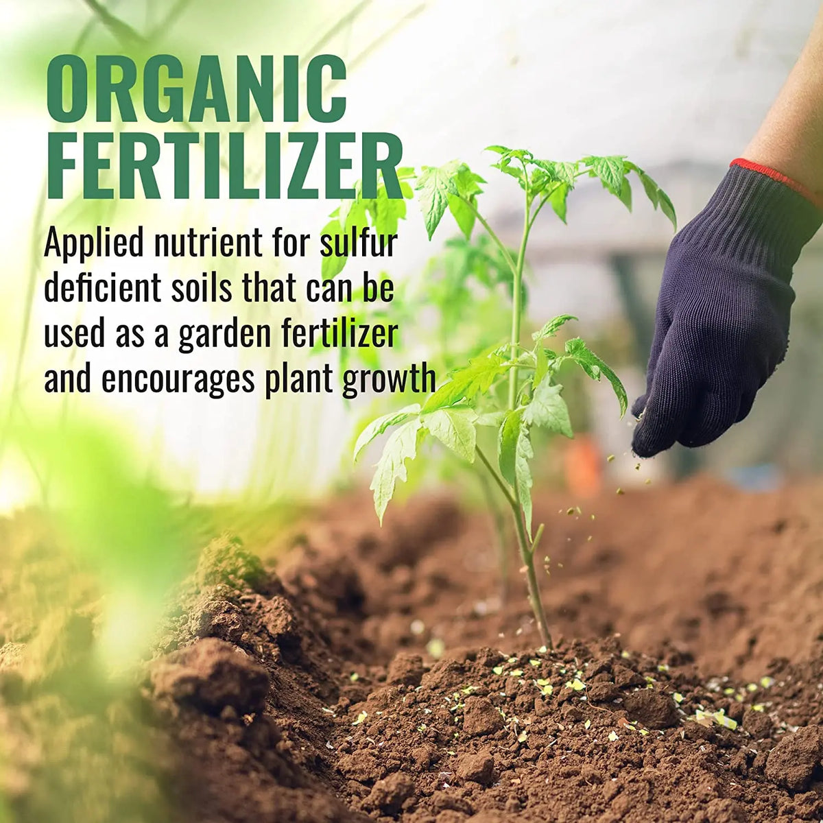 Sulfur Prills, Fertilize, Adjust Soil PH or Fungal Vaporizing, OMRI Certified, 4lb Grow1