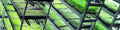 SunBlaster Double Thick Microgreen Trays, With Holes Sun Blaster