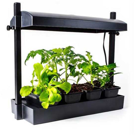 SunBlaster LED Micro Grow Light Garden, Black Sun Blaster