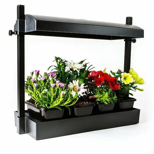 SunBlaster T5HO Micro Grow Light Garden, Black Sun Blaster