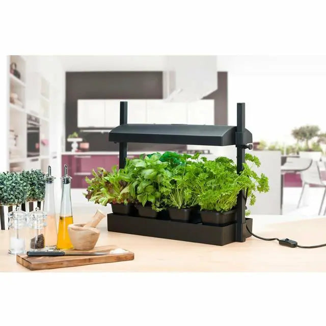 SunBlaster T5HO Micro Grow Light Garden, Black Sun Blaster