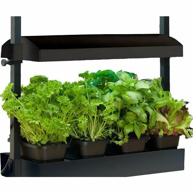 SunBlaster T5HO Micro Grow Light Garden, Black Sun Blaster