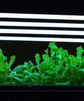 SunBlaster T5HO Vegetative 6400K Fluorescent Lamp, 18"