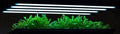 SunBlaster T5HO Vegetative 6400K Fluorescent Lamp, 18"