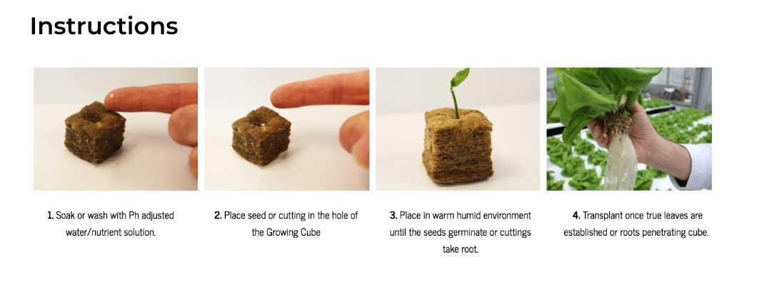 How to use Rockwool Cubes for Growing, Seed Starting, and Cutting  Propagation