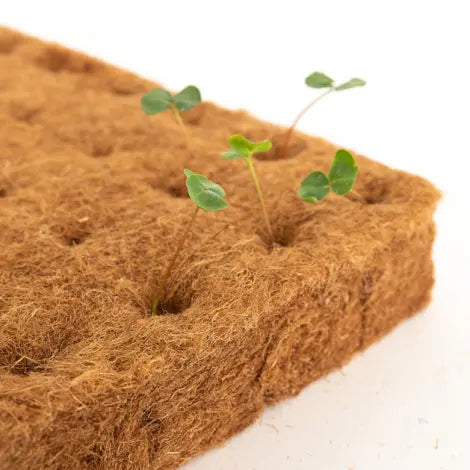 Terrafibre Hemp Fiber Grow Cube Starter Plugs, 1.5" | Sheet of 98 Terrafibre