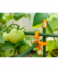 Thriving Design C-Bite 10-11mm, Orange | Pack of 26 Thriving Design C-BITES