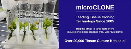 Tissue Culture Microclone Kit Grow1