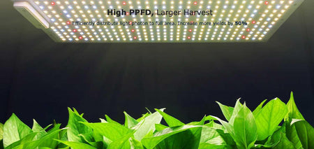 VIPARSPECTRA P2500 LED Full Spectrum Grow Light IP65 Dimmable