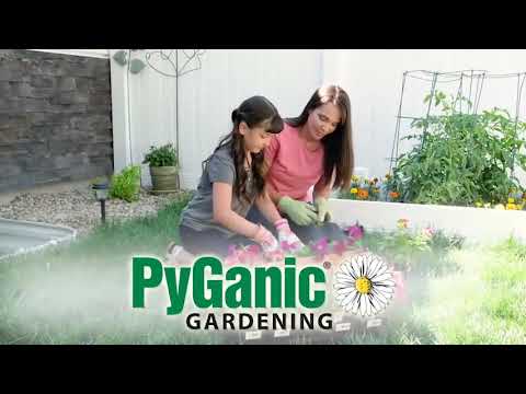PyGanic Gardening Pyrethrins Concentrate OMRI, gal