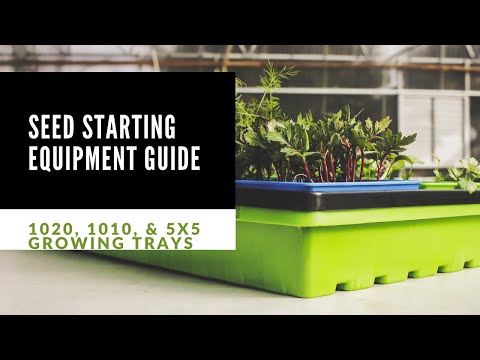 Bootstrap Farmer 1010 Shallow Seed Trays | With Holes