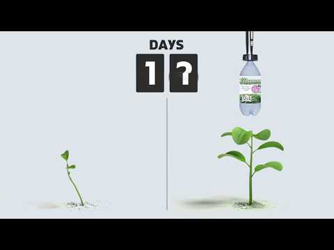 TNB Naturals The Enhancer CO2 Dispersal Canister
