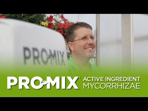 PRO-MIX BX MYCORRHIZAE, 3.8 cu ft