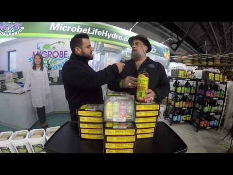Microbe Life Photosynthesis Plus, qt